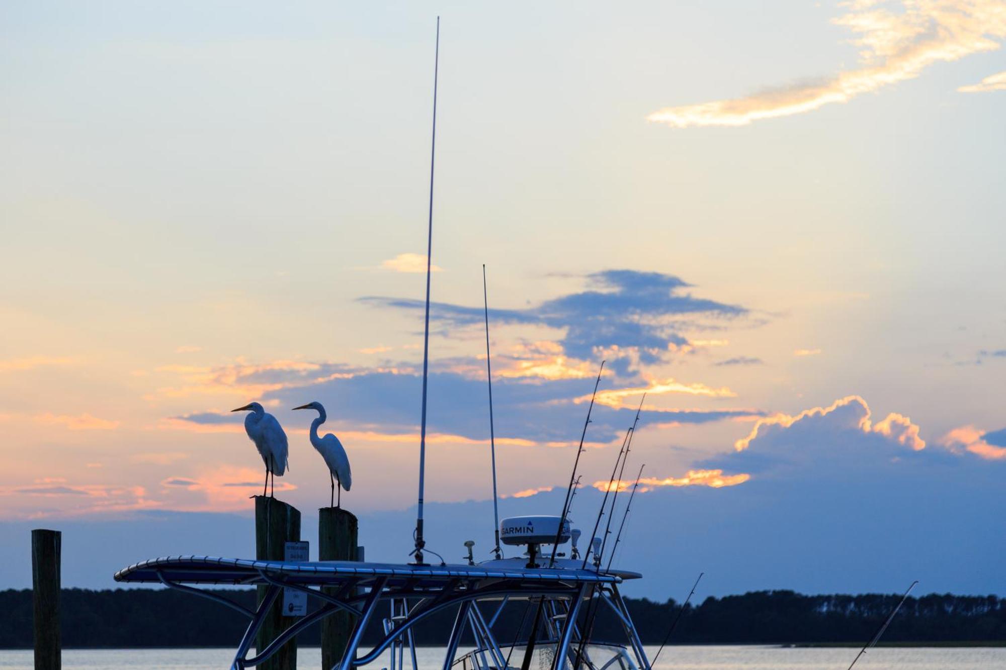 Stoney Creek Villa 299 Hilton Head Island Buitenkant foto