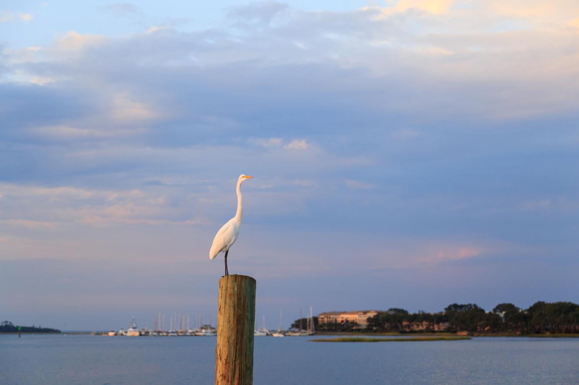 Stoney Creek Villa 299 Hilton Head Island Buitenkant foto