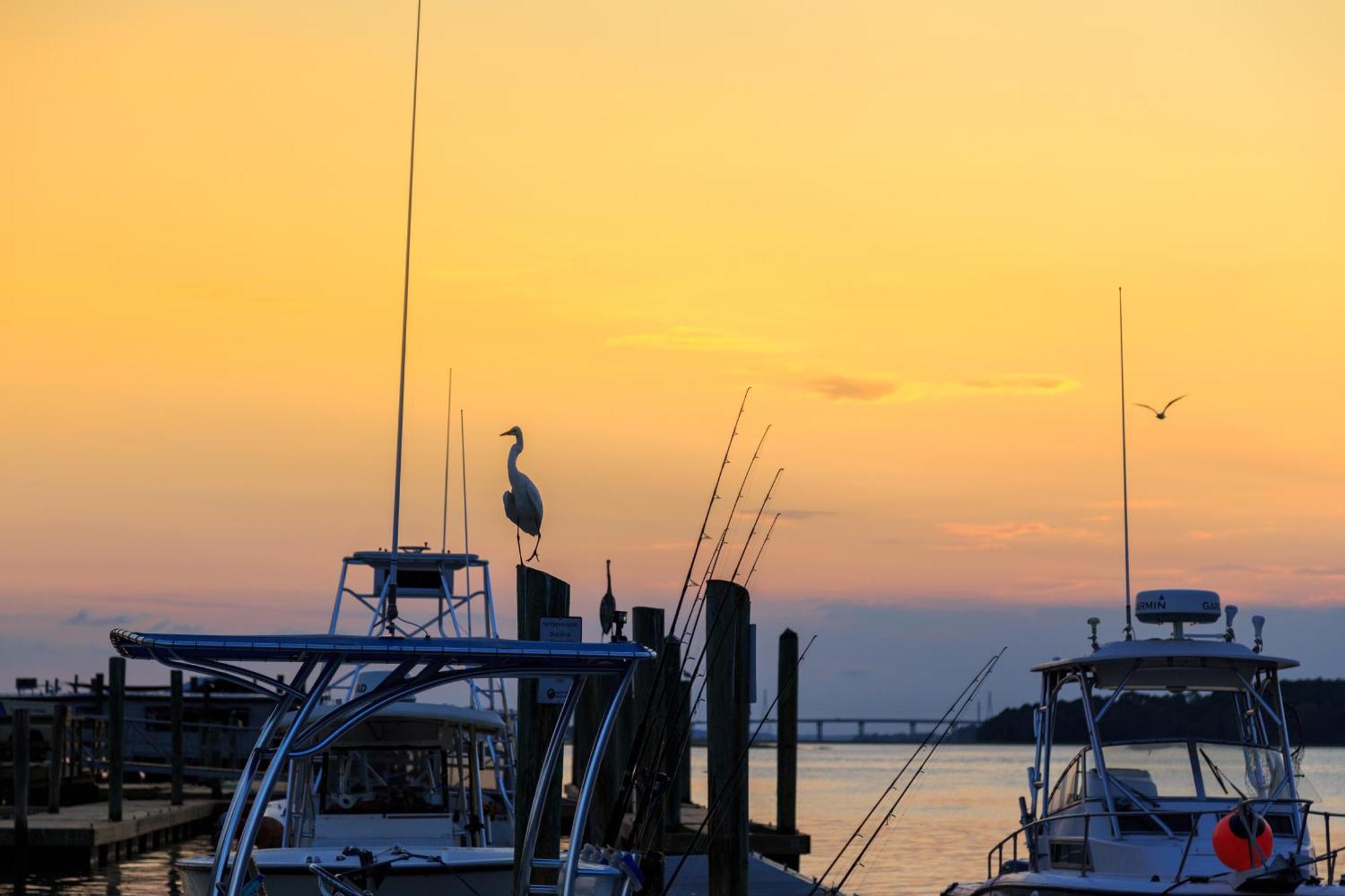 Stoney Creek Villa 299 Hilton Head Island Buitenkant foto